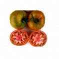 Tomate Marmande